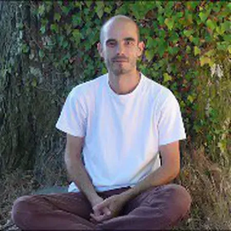 Acupuncture & Pharmacopée Chinoise Lyon Cabinet Stéphane Bertry-Masoero