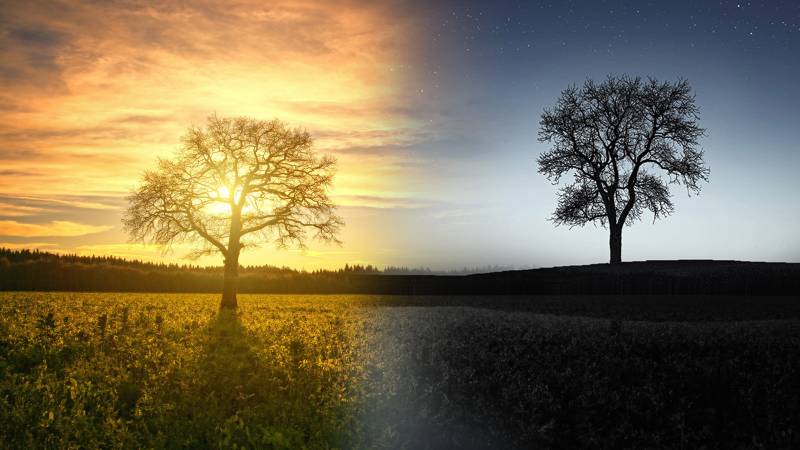 Séances de Sophrologie horaires étendus matinée (matin) et soirée (soir) à Lyon 6