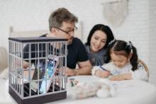 Nos prestations sur le secteur à Lyon 6 Brotteaux